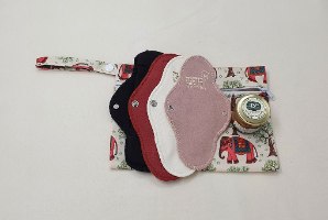 ערכה מקיפה לנערה הכוללת 4 תחבושות ב4 דרגות ספיגה שונות, תיק היגיינה ומשחה