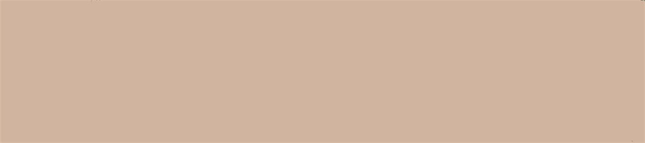 רצועות לבד 20X90 -קאמל