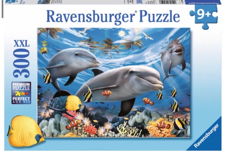 פאזל 300 חלקים דולפנים