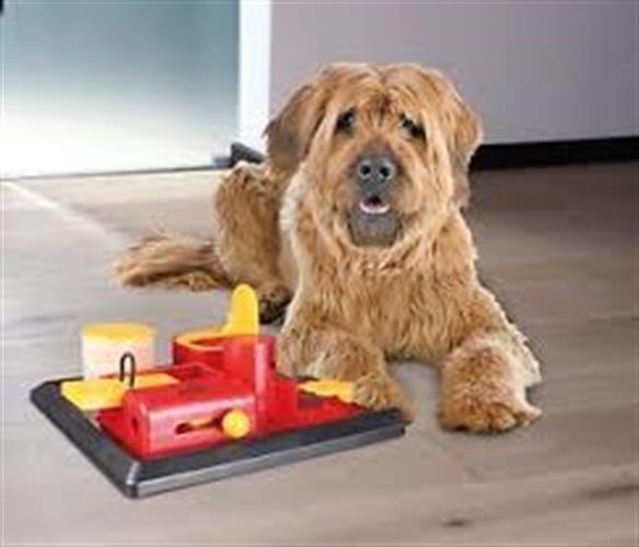 Poker Box 2 Strategy Game