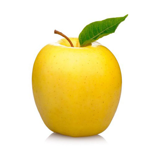 תפוח עץ מוזהב