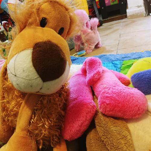 בובת אריה רכה עם זרועות ארוכות