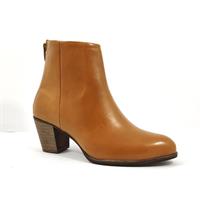 מגפון דניאל כאמל