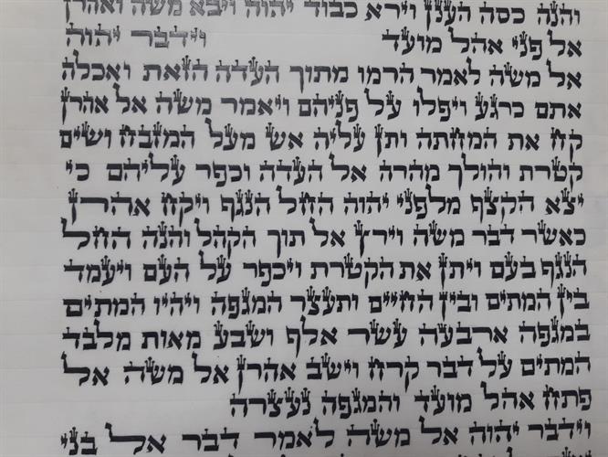 ספר תורה ספרדי