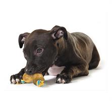 דוג ווד מיני אנקור