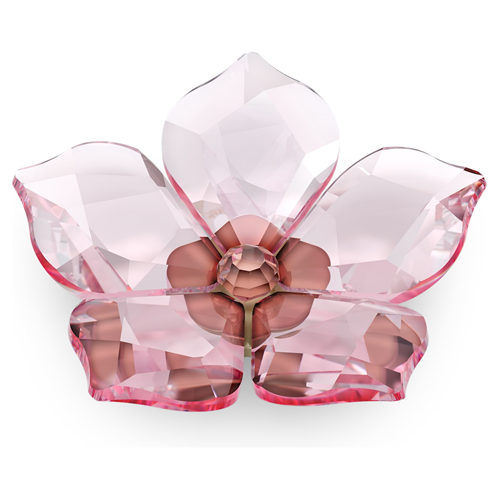 קריסטל  Swarovski קולקציית Garden Tales צורה Cherry Blossom Magnet, Large