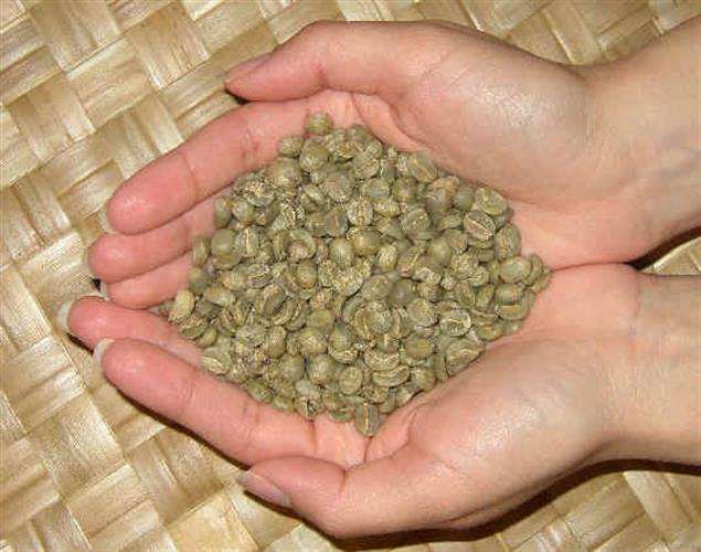קפה ירוק אתיופיה דגימה - Ethiopia Djimma