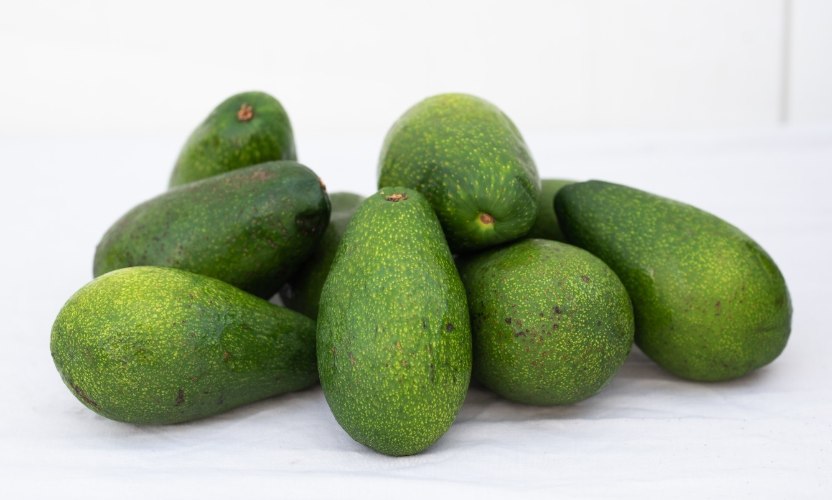 אבוקדו עם קליפה קשה 2 ק"ג