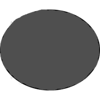 פוליגל אפור