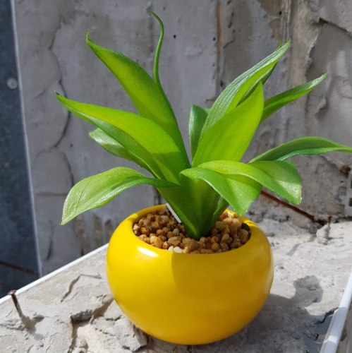 עציץ צהוב עגול גדול