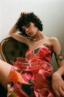 השמלה הכי מוגזמת בעולם