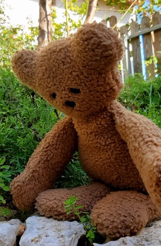 דובי פנקייק מקורי,  גדול ושטוח, בן 22