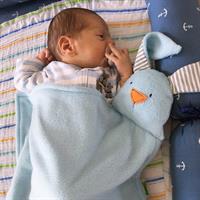 שמיכי, אהוד התינוק החמוד