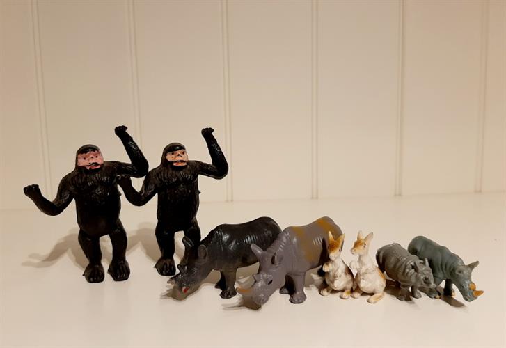 זוגות זוגות-גורילות,קרנפים וקנגרואים