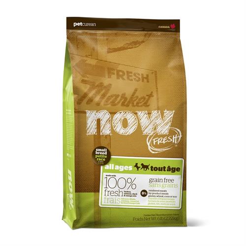 נאו בוגר גזע קטן 2.72 קג