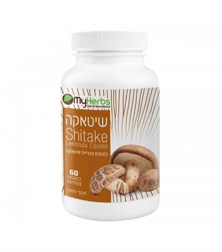 שיטאקה - SHITAKE