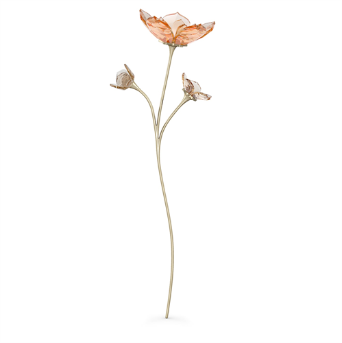 קריסטל  Swarovski קולקציית Garden Tales צורה Magnolia