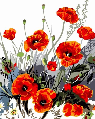 צביעה לפי מספרים - פרגים בשדה