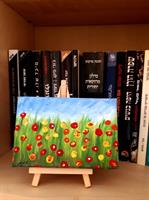 שדה  פרחים צבעוני