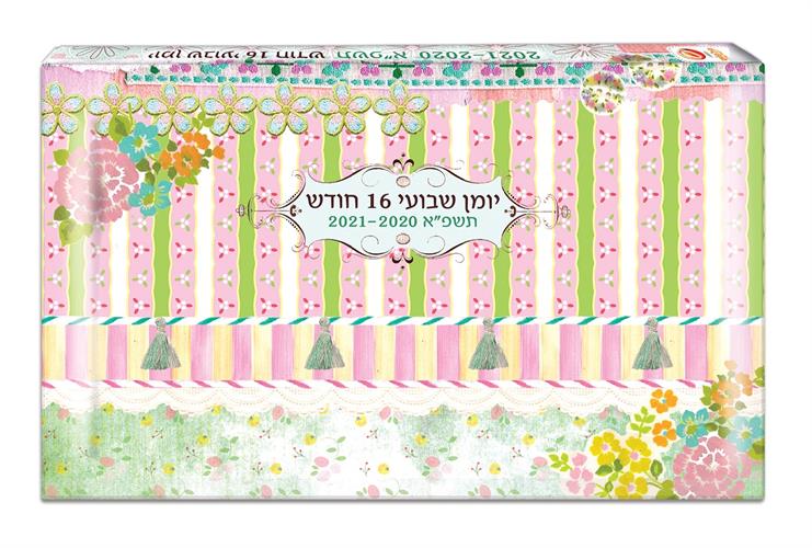 יומן 10 17גל בן אהרון