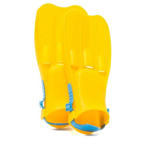 סנפירים אינטקס