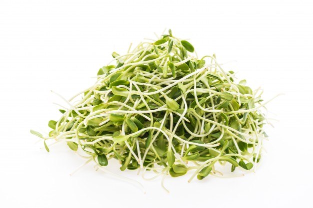 נבטי חמנייה