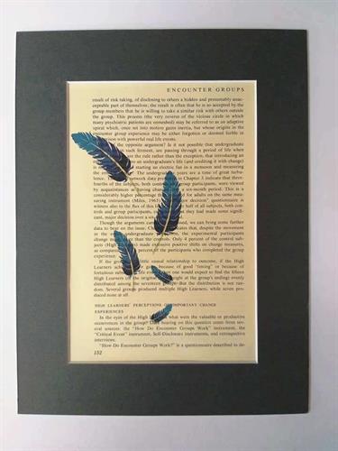 הדפס וינטג` נוצות