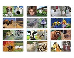 שילובים- הבית שלי