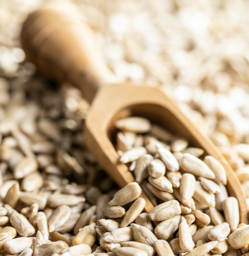 גרעיני חמניה קלופים במשקל - 1 ק"ג