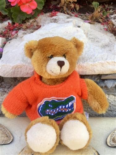 דובון רך לבוש בחולצה