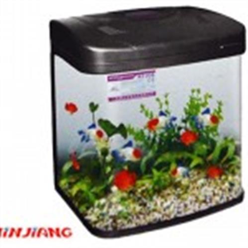 אקווריום 31 ס"מ הכל כלול