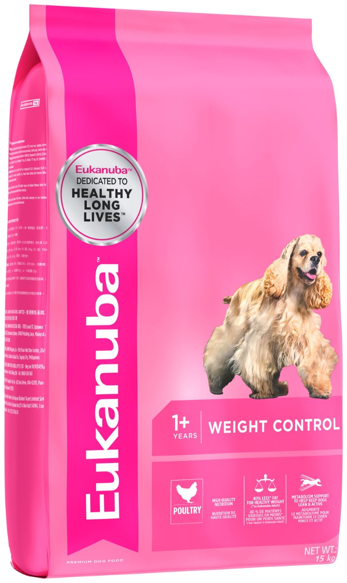 dog chain collar amazon