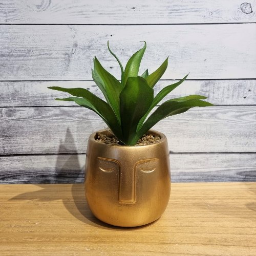 עציץ פנים זהב