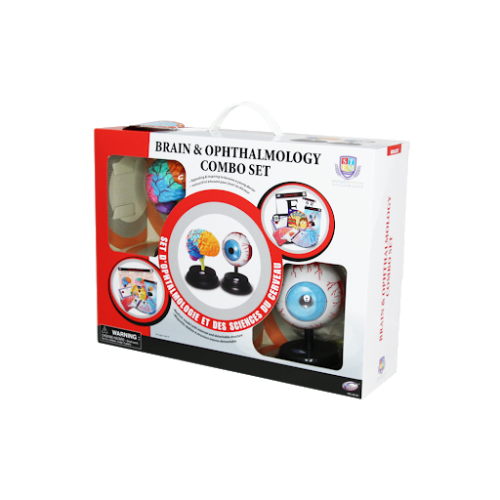 חקר מוח ועין עם כרטיסיות
