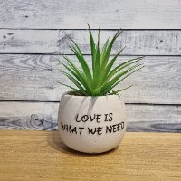 עציץ שמנת דמוי סוקולנט "Love is what we need"