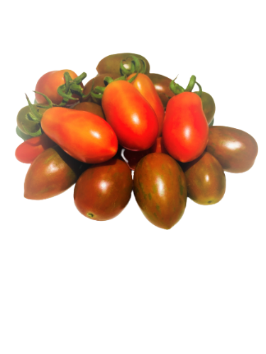 מיקס עגבניות שרי