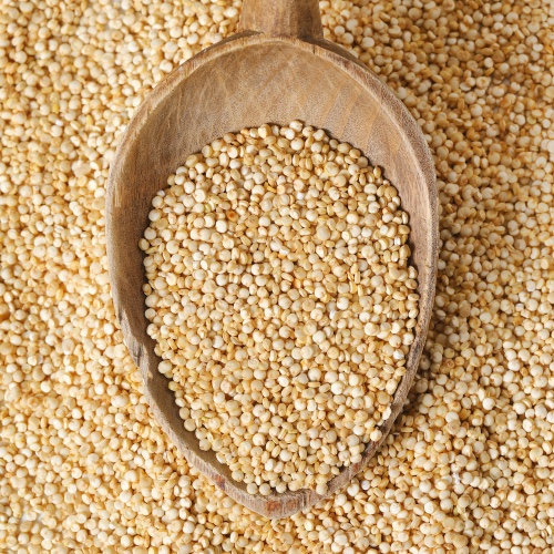 קינואה לבנה – 800 גרם