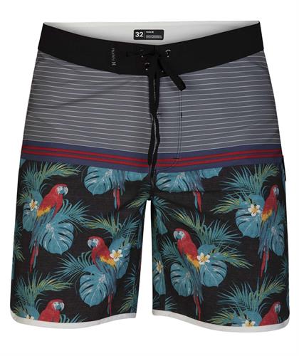 HURLEY PHANTOM SIERRA