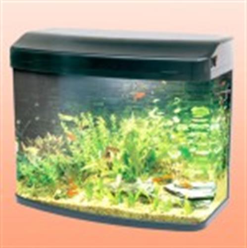 אקווריום 80 ס"מ