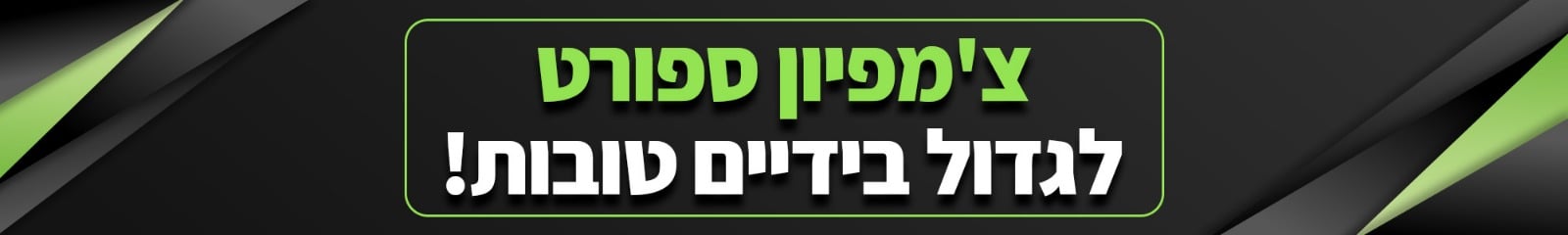 צ'מפיון שופ ספורט
