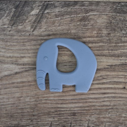 נשכן פיל אפור כהה