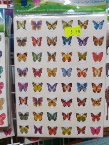 מדבקות פרפרים קטנים