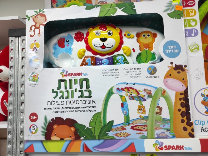 אוניברסיטת פעילות