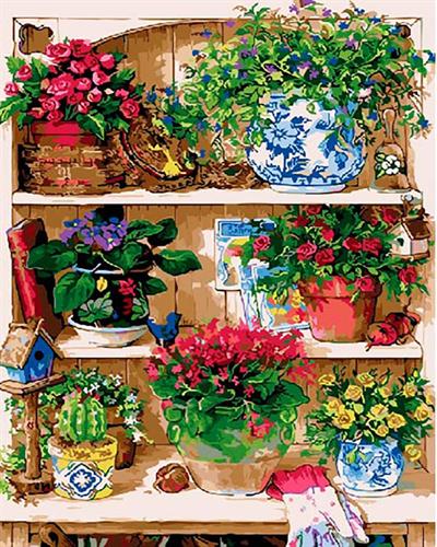 צביעה לפי מספרים - עציצים על מדפים