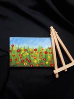 שדה  פרחים צבעוני