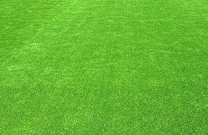 עותק של דשא סינטטי איכותי בגובה 18 מ"מ מינימום 10 מטר
