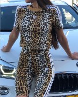 טי שרט קרופ ADIDAS מנומר