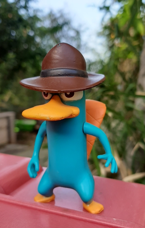 פרי הפלטיפוס מהסדרה פיניאס ופרב, תוצרת דיסני, במצב מצוין