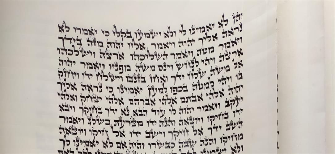 ספר תורה אשכנזי גודל 48 סמ