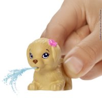 ברבי שחיינית